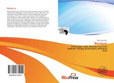 Bookcover of Besturn