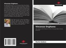 Bookcover of Vincenzo Orgitano: