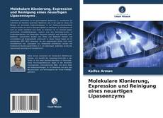 Couverture de Molekulare Klonierung, Expression und Reinigung eines neuartigen Lipaseenzyms
