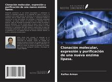 Borítókép a  Clonación molecular, expresión y purificación de una nueva enzima lipasa. - hoz