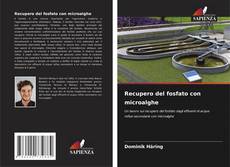 Couverture de Recupero del fosfato con microalghe