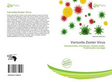 Buchcover von Varicella Zoster Virus