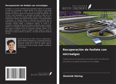 Borítókép a  Recuperación de fosfato con microalgas - hoz