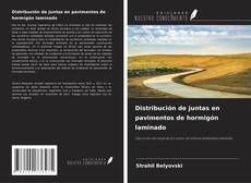 Borítókép a  Distribución de juntas en pavimentos de hormigón laminado - hoz