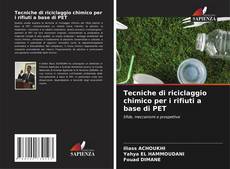 Couverture de Tecniche di riciclaggio chimico per i rifiuti a base di PET