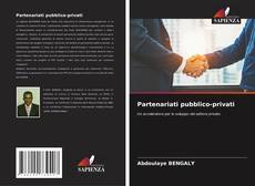 Copertina di Partenariati pubblico-privati