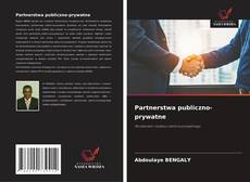 Partnerstwa publiczno-prywatne kitap kapağı