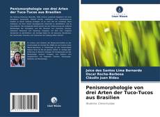 Buchcover von Penismorphologie von drei Arten der Tuco-Tucos aus Brasilien