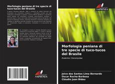 Borítókép a  Morfologia peniana di tre specie di tuco-tucos del Brasile - hoz