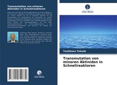 Buchcover von Transmutation von minoren Aktiniden in Schnellreaktoren