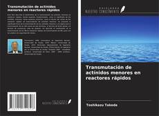 Buchcover von Transmutación de actínidos menores en reactores rápidos