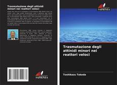 Copertina di Trasmutazione degli attinidi minori nei reattori veloci