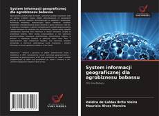 Couverture de System informacji geograficznej dla agrobiznesu babassu