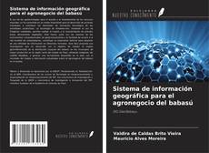 Buchcover von Sistema de información geográfica para el agronegocio del babasú