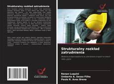 Couverture de Strukturalny rozkład zatrudnienia