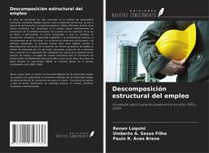 Buchcover von Descomposición estructural del empleo