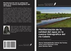 Buchcover von Monitorización de la calidad del agua en la cuenca hidrográfica del río Cabelo