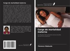 Buchcover von Carga de mortalidad materna