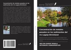 Buchcover von Concentración de metales pesados en los sedimentos del río Lagaip-Strickland