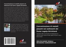 Bookcover of Concentrazione di metalli pesanti nei sedimenti del fiume Lagaip-Strickland