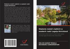 Обложка Stężenie metali ciężkich w osadach rzeki Lagaip-Strickland