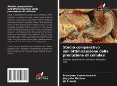 Bookcover of Studio comparativo sull'ottimizzazione della produzione di cellulasi