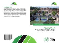 Copertina di Foudry Brook