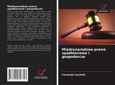 Międzynarodowe prawo upadłościowe i gospodarcze的封面