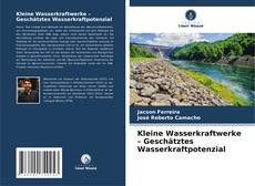 Buchcover von Kleine Wasserkraftwerke – Geschätztes Wasserkraftpotenzial