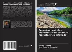Buchcover von Pequeñas centrales hidroeléctricas: potencial hidroeléctrico estimado