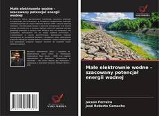 Copertina di Małe elektrownie wodne – szacowany potencjał energii wodnej