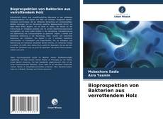 Couverture de Bioprospektion von Bakterien aus verrottendem Holz
