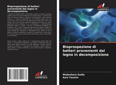 Copertina di Bioprospezione di batteri provenienti dal legno in decomposizione