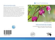 Bookcover of Adrenoleukodystrophy