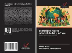 Copertina di Bezrobocie wśród młodych ludzi w Afryce