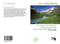 Perborough Castle kitap kapağı