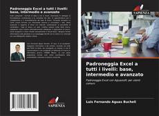 Capa do livro de Padroneggia Excel a tutti i livelli: base, intermedio e avanzato 