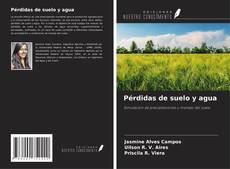 Buchcover von Pérdidas de suelo y agua