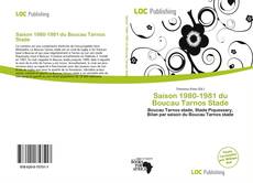 Saison 1980-1981 du Boucau Tarnos Stade的封面