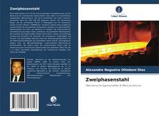Buchcover von Zweiphasenstahl