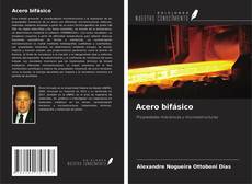 Capa do livro de Acero bifásico 