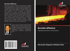 Bookcover of Acciaio bifasico