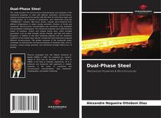 Dual-Phase Steel kitap kapağı