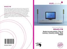 Buchcover von WAAO-FM