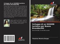 Bookcover of Sviluppo di un SIGWEB turistico per Bueno Brandão/MG