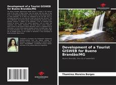 Development of a Tourist GISWEB for Bueno Brandão/MG kitap kapağı