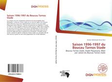 Bookcover of Saison 1996-1997 du Boucau Tarnos Stade