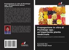 Copertina di Propagazione in vitro di Plumbago spp.- un'importante pianta medicinale