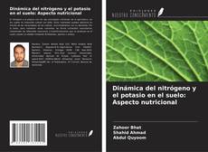 Copertina di Dinámica del nitrógeno y el potasio en el suelo: Aspecto nutricional