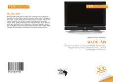 Bookcover of WLDC-AM